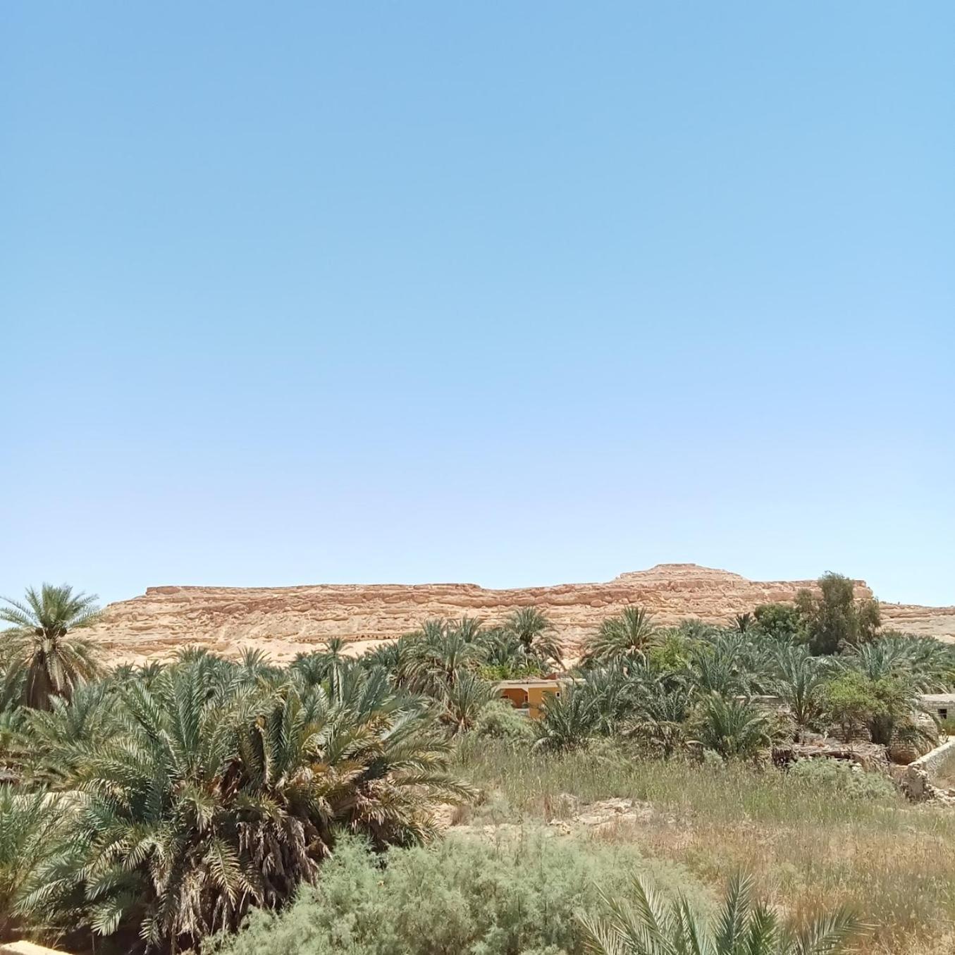 Tanirt Ecolodge Siwa Oasis Luaran gambar