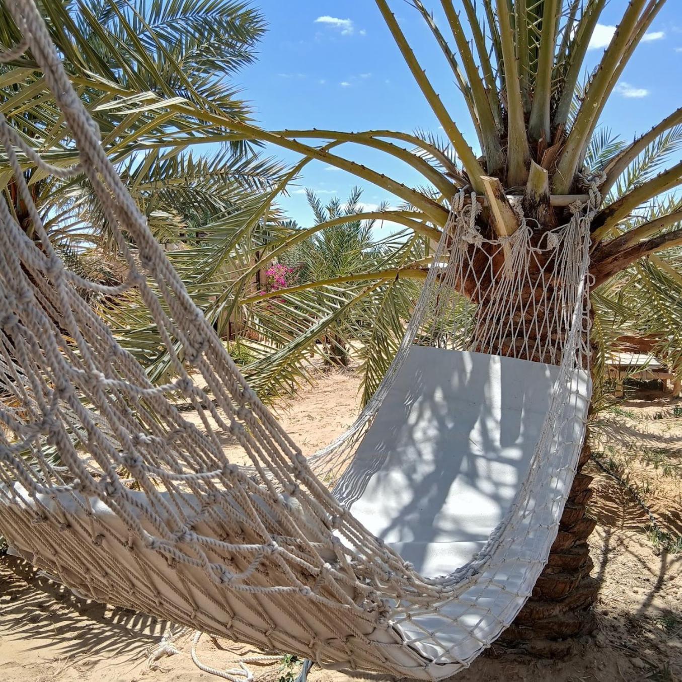 Tanirt Ecolodge Siwa Oasis Luaran gambar